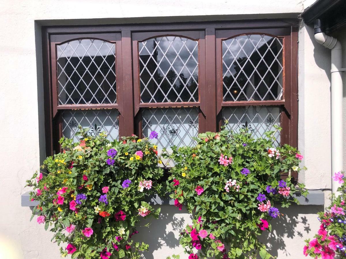 Chester Beatty Inn Ashford Esterno foto